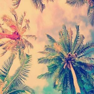 Meet your Posher, Caleb